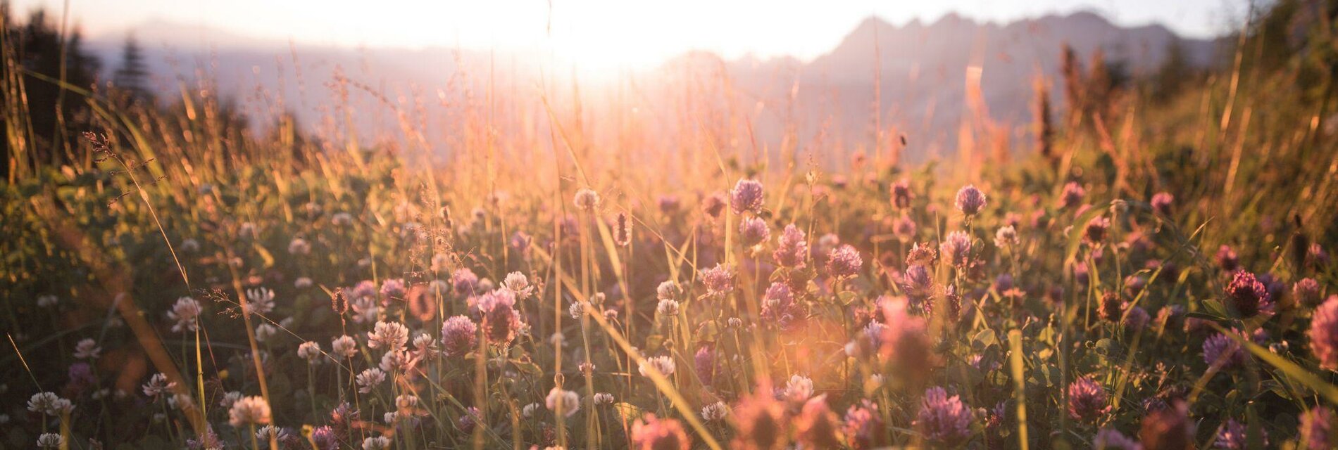 Sonnenuntergang Planai