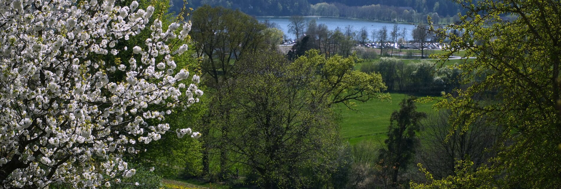 Aussicht_Baumhaus