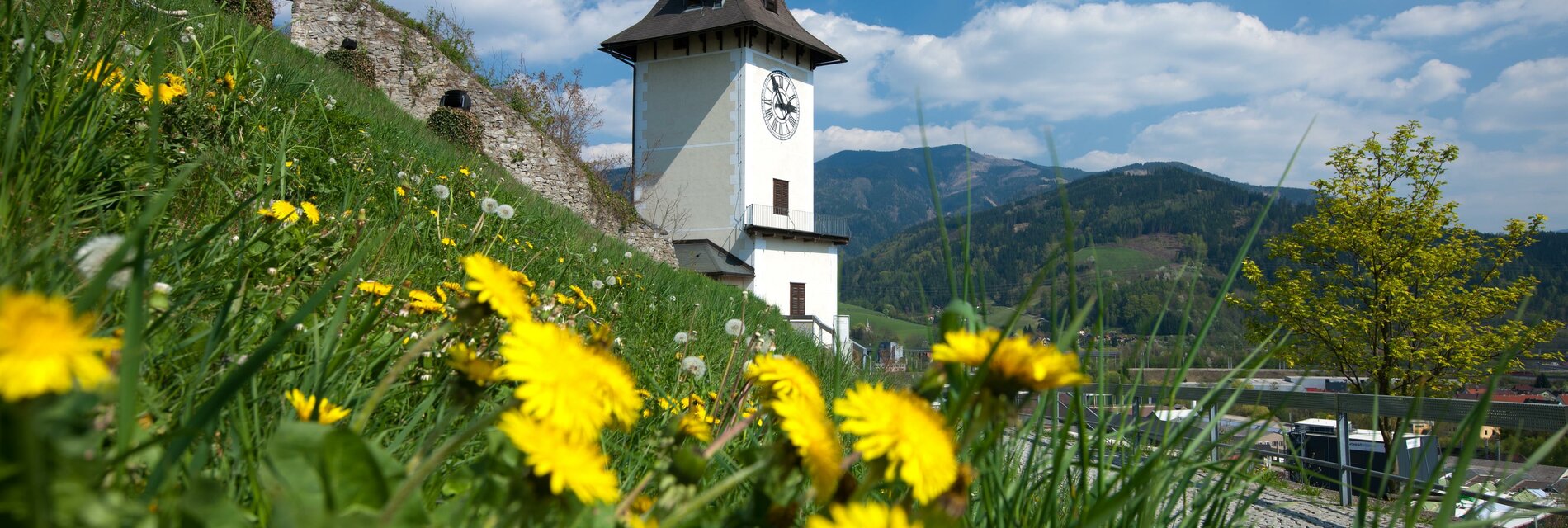 Schlossberg (c) TV Hochsteiermark, Harry Schiffer 