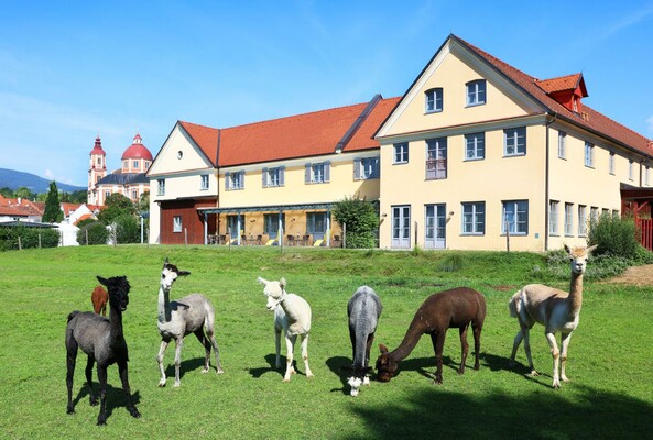 auenansicht-jufa-hotel-poellau-1440x971