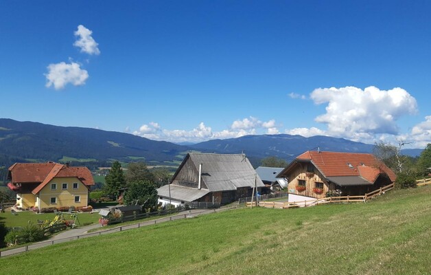 Unser Hof mit Bauernhaus und FeWo