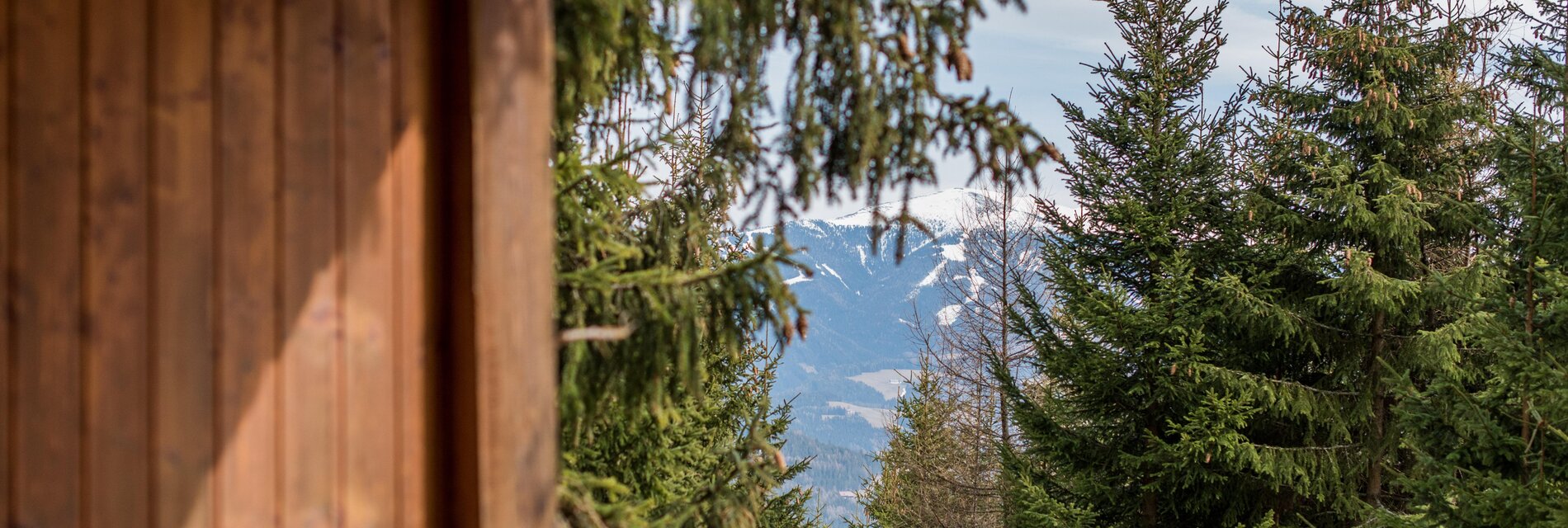 Katschwaldhütte-Ausblick-Murtal-Steiermark