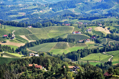 DSC_3084 (2)