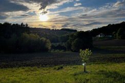 Blick in den Sonnenuntergang vom Stellplatz aus