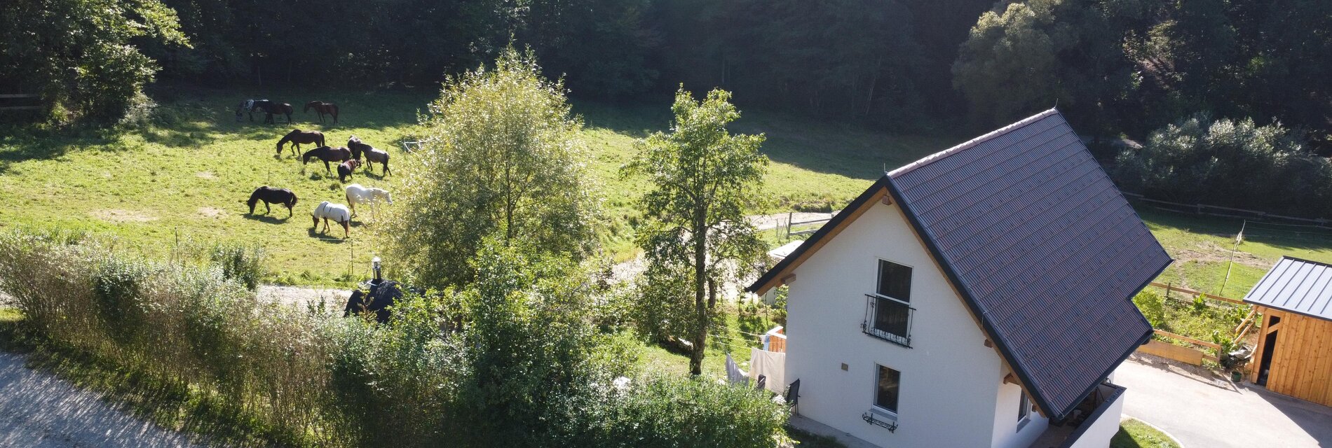 Kellerstöckl am NaturGut Kunterbunt - Impression #1