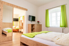 Geier_06