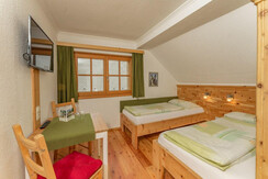 Klausnerhof- Grimmingblick