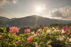 _NIK0858-HDR(c) bernhard bergmann