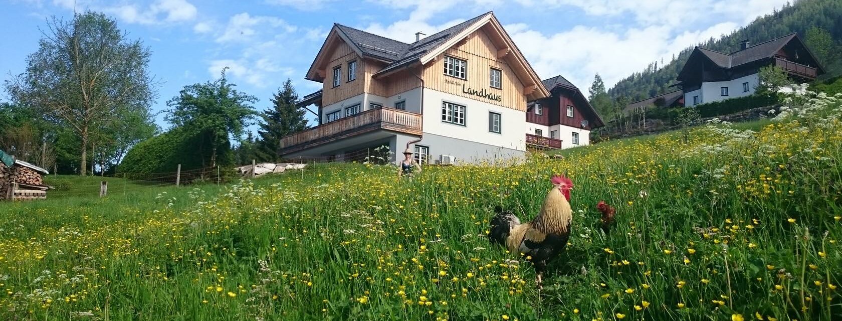 Knoedl-Alm-Landhaus-Urlaub-Bad-Mitterndorf-Bauernh