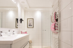 Bathroom Apartment Silber
