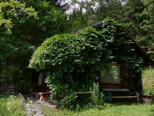 Kräutlhütte im Weinlaub gehüllt | © Maria Elfriede Auer