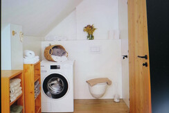 IMG_20240913_115244[1]