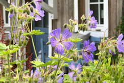 WhatsApp Image 2022-05-30 at 19.59.59 (6)