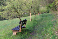 Aussicht auf Wanderweg