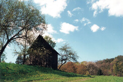Blick auf Heuhuette