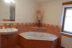 Badezimmer mit Wanne und Dusche