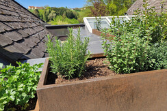 privater Kräutergarten