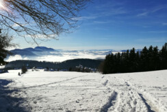 Winterlandschaft