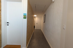 PXL_20241205_102923833