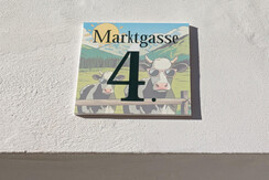 PXL_20241205_110808067.MP