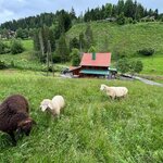 Bild von Mein Landhaus | Die Bachklanghütte