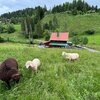 Bild von Mein Landhaus | Die Bachklanghütte