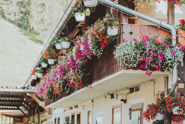 Sommer am Michlbauernhof