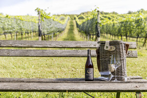 20250624_Urlaub-am-Winzerhof_Weingut-Monschein_EF2 | © monschein