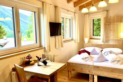 Montanara - Studio Dachstein (2)