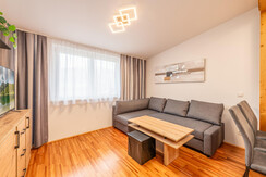 myNests-Ruperting-Schladming-Dachstein-Apartment-(