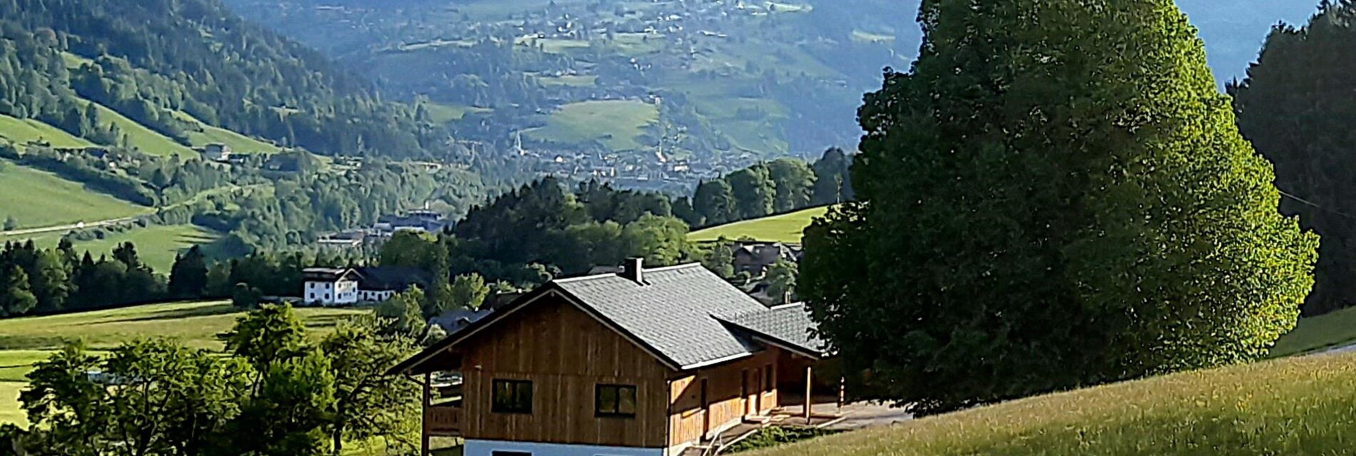 Sommer Naturchalet Forster