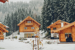 Natural chalet in winter chalet 6