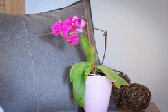 Naturnah Appartement - Appartement Wilde Wasser (3