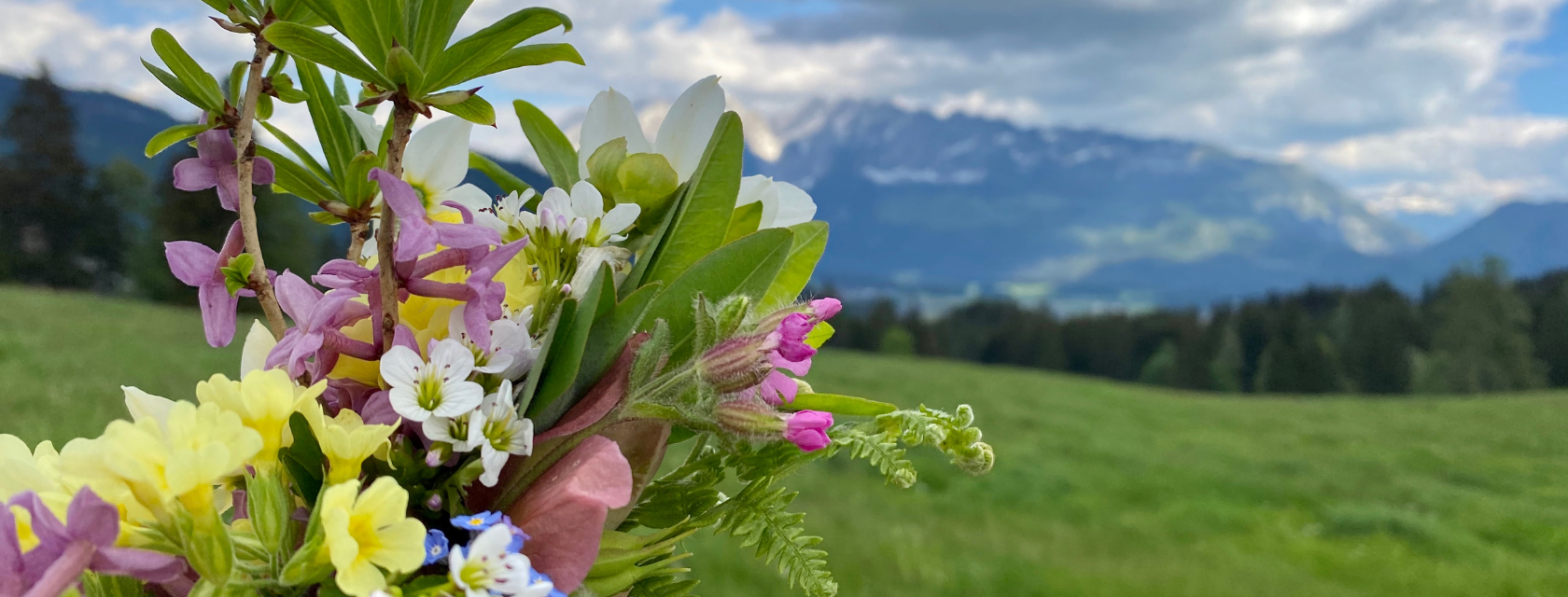 Obersdorfer Hof, Sommer