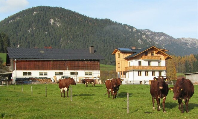 Oberzaunerhof im Sommer