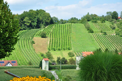 Blick auf den Hausberg Burgstallkogel