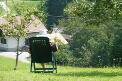mitten im Grünen ein Buch lesen