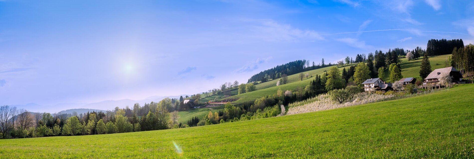 Panorama Stellplätze Graf - Impression #1