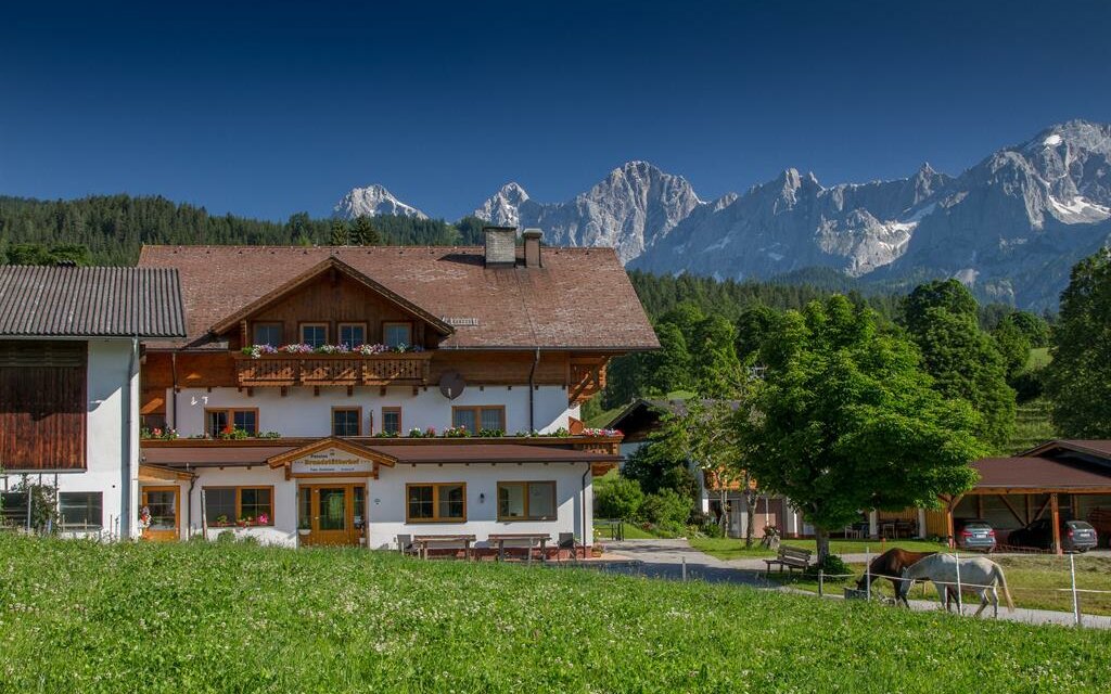 Urlaub am Brandstätterhof