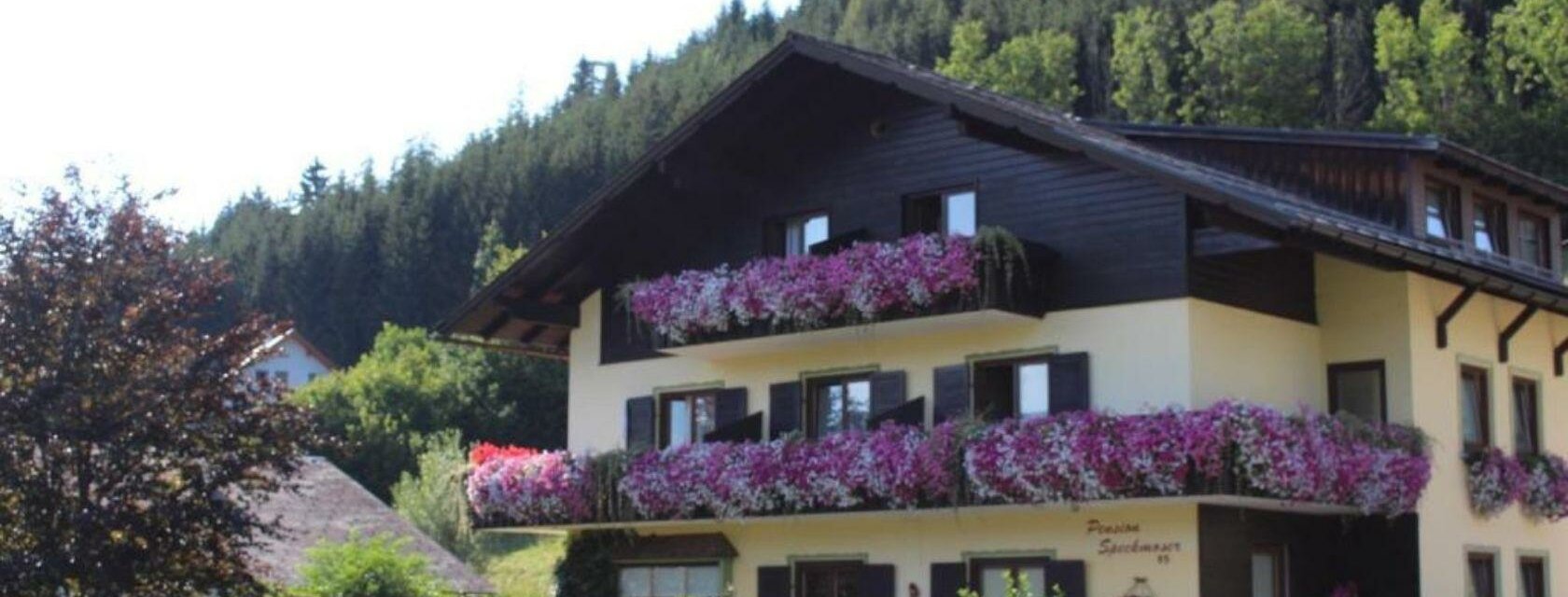 Pension Speckmoser, Bad Mitterndorf, Haus