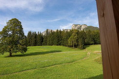 Pension Trisselwand, Grundlsee, Wiese