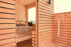 Penthouse D7.1_Tauplitz_Sauna