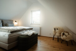 Pettinger_Stoeckl_SchlaZi_4