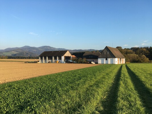 Pferdehof Hölzlvlg.Blickner-Ansicht-Murtal | © Pferdehof Hölzl vlg. Blickner