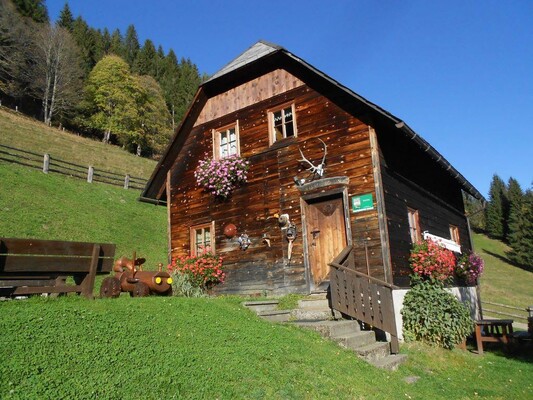 Plankenhütte Sommer