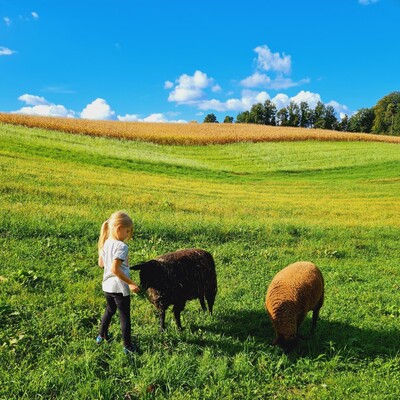 Postl´s Hirschbirnhof_Anne & Schafe_Oststeiermark | © Postl`s Hirschbirnhof