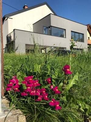 Außenansicht Haus Taferner in Hall