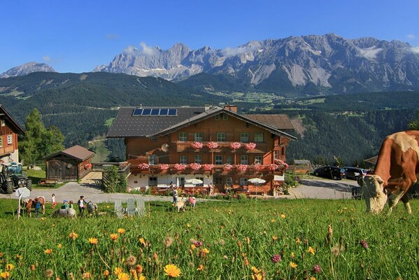 Rücklhof_Schladming-Dachstein_Bauernhof_urig_gemüt | © GeorgK