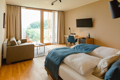 Panoramicroom deluxe with balcony