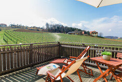 Doppelzimmer mit Terrasse - Stammhaus @foto karin 